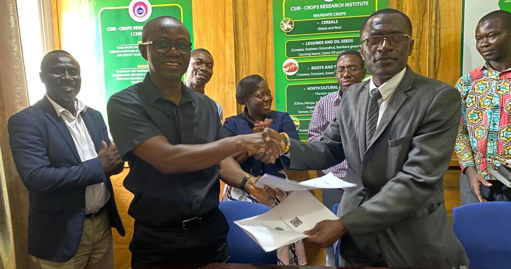 CSIR-CRI, Ghana Cassava Center of Excellence sign MoU to increase Cassava Production in Ghana